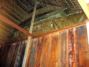 The inside of their new house. A solid roof to keep out the rain.