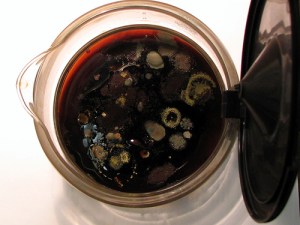 Is this what you have to offer?